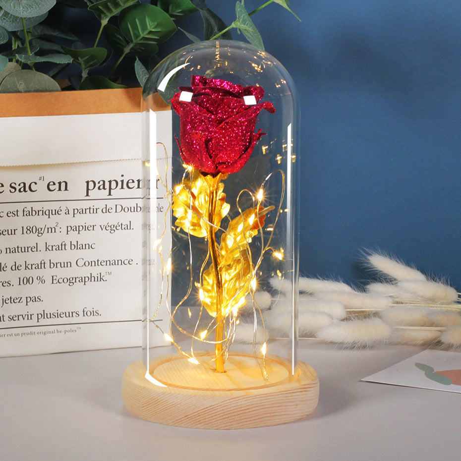 Valentines Day Gift  For Girlfriend Eternal Rose Flowers LED Light In Glass Cover